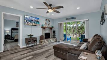 Smart TV, fireplace, books