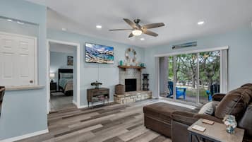 Smart TV, fireplace, books