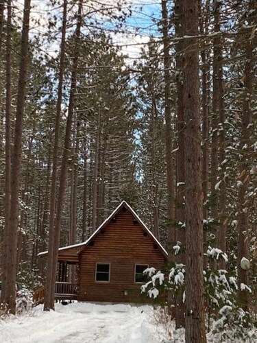Little Log Cabin in the Big Woods
