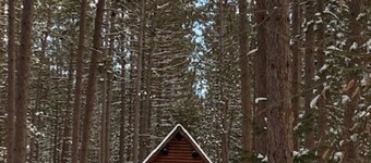Little Log Cabin in the Big Woods