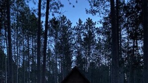 Una cabaña con un sendero de tierra que la lleva a ella, rodeada de altos pinos.