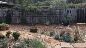 A garden with stone pathways, potted plants, and a wooden fence. - Beautiful, private, sunny, ideal location, 31 night minimum (Carmel Valley)