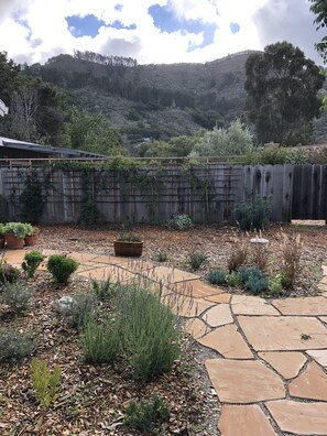 Property grounds - Beautiful, private, sunny, ideal location, 31 night minimum (Carmel Valley)