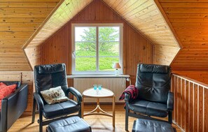 Smart-TV, Kamin