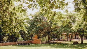 Un espace extérieur aménagé avec des tables et des chaises, entouré d’arbres et d’une structure en pierre.