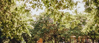 Lakefront Love Getaway: Winery, Kayaks, SUPs, Yoga, Massage, Krause Springs!