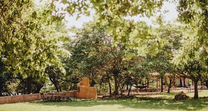 Lakefront Love Getaway: Winery, Kayaks, SUPs, Yoga, Massage, Krause Springs!