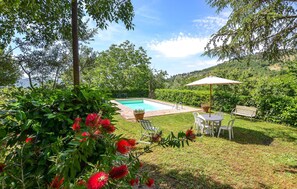 Pool - 2 bedroom amazing apartment in Cortona (Cortona)
