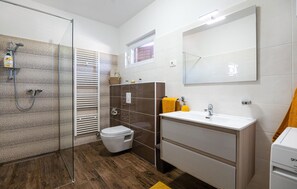Shower, hair dryer