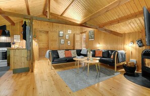 تلفزيون، مدفأة