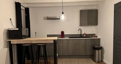 Appartement en centre ville