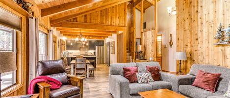 テレビ、暖炉、ビデオライブラリ