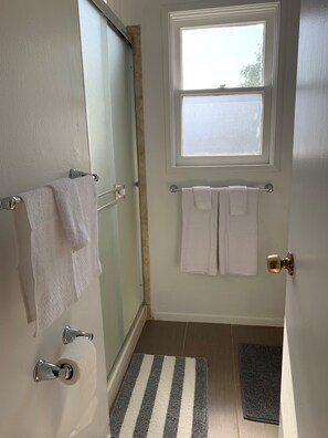 Shower - NEW 4055.5 retro, bright, private 1 bedroom, happening Northpark.  (San Diego)