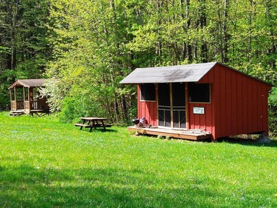 Red Eft Rustic Camping Cabin at Camp Earth Connection