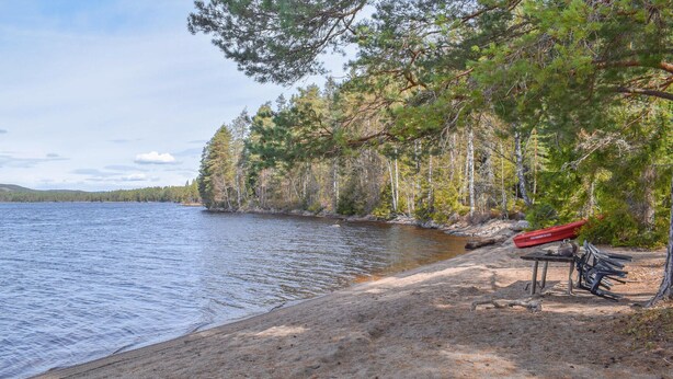 Eine Uferlandschaft mit Sandstrand, einem Kanu und einer Bank.