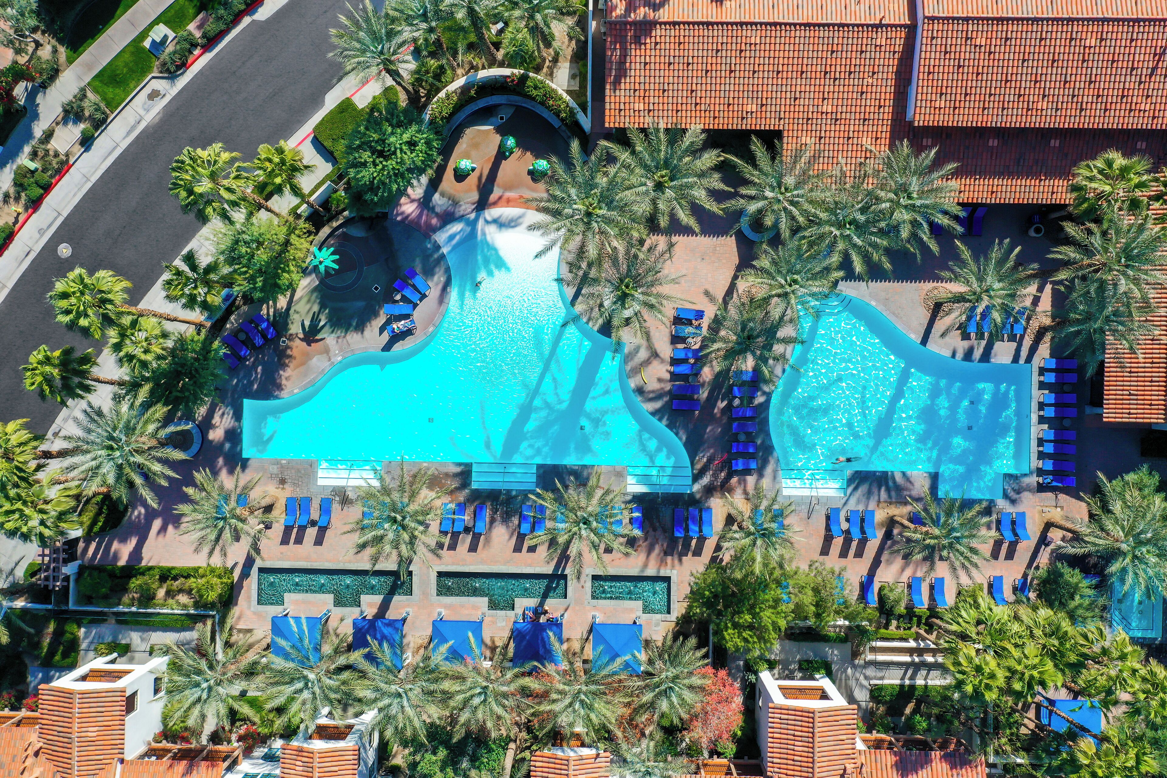 Une grande piscine avec plusieurs couloirs de nage, entourée de palmiers et de chaises longues.