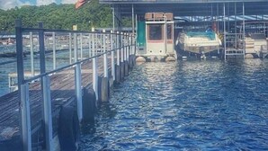 A person diving into a body of water from a wooden dock. - DRIFTWOOD RESORT BULL SHOALS (Bull Shoals)