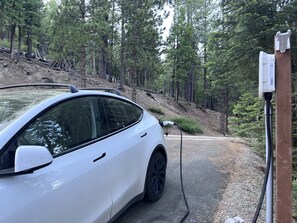 Property grounds - Modern-Chic Lassen Cabin. 10 miles to Lassen. Snowshoes, EV! (Mineral)
