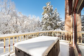 Property grounds - Aspen Ski Den - Walk everywhere! New updates! (Aspen)