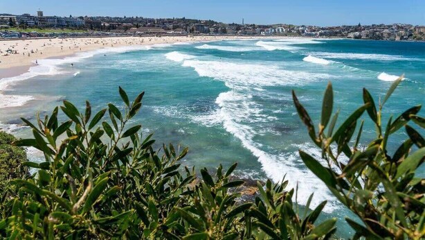 Une scène de plage côtière avec des vagues, un ciel dégagé et des bâtiments en arrière-plan.