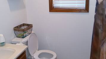 Combined shower/tub, towels, soap, shampoo