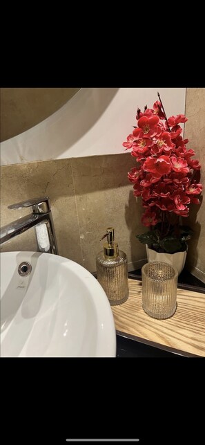 Shower, hair dryer, bidet, towels