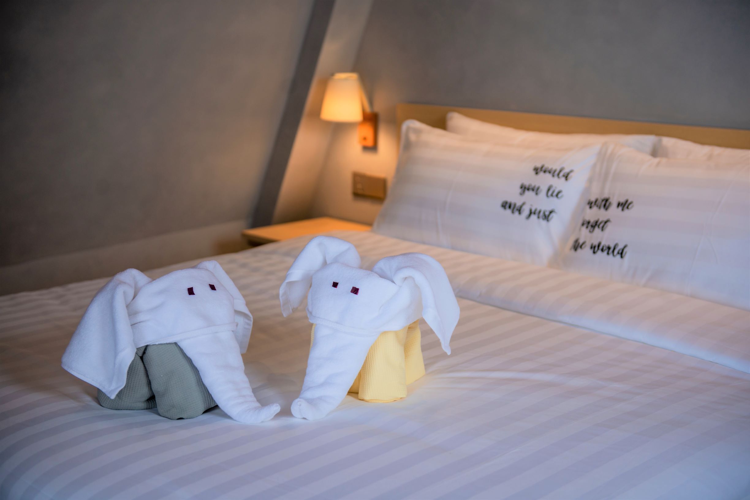 Wifi gratis y ropa de cama 