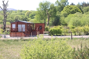 A small wooden cabin with a porch and a fenced yard, surrounded by lush greenery and trees.