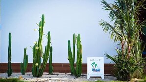 Señal de bienvenida a una propiedad con cactus y una planta de palmera al frente.