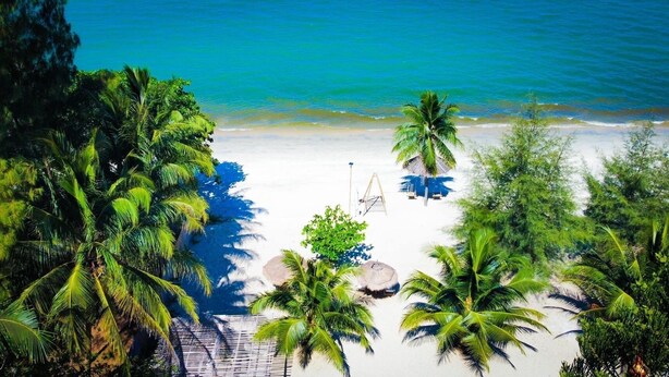 Una playa con palmeras, una hamaca y un quiosco de paja.