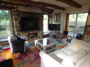 TV, fireplace, video games, DVD player
