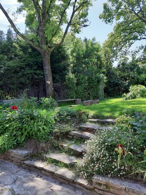 A garden with stone steps leading to a grassy area, surrounded by various plants and trees.