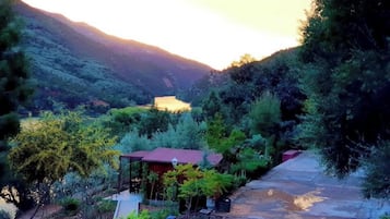 Room, 1 Bedroom, Terrace, Garden View | View from property