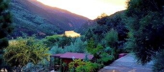 Room in Bungalow - Dar L'eau Vive - One-bedroom Bungalow in Quiet and Relaxing Atlas Mountains