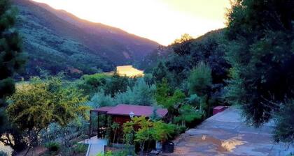 Room in Bungalow - Dar L'eau Vive - One-bedroom Bungalow in Quiet and Relaxing Atlas Mountains