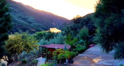 Room in Bungalow - Dar L'eau Vive - One-bedroom Bungalow in Quiet and Relaxing Atlas Mountains
