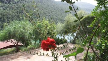 Room, 1 Bedroom, Accessible, Terrace | View from property