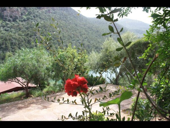 Rom, 1 soverom, tilgjengelighetstilpasset, terrasse | Utsikt fra overnattingsstedet