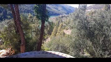 Room, 1 Bedroom, Balcony, Garden View | View from property