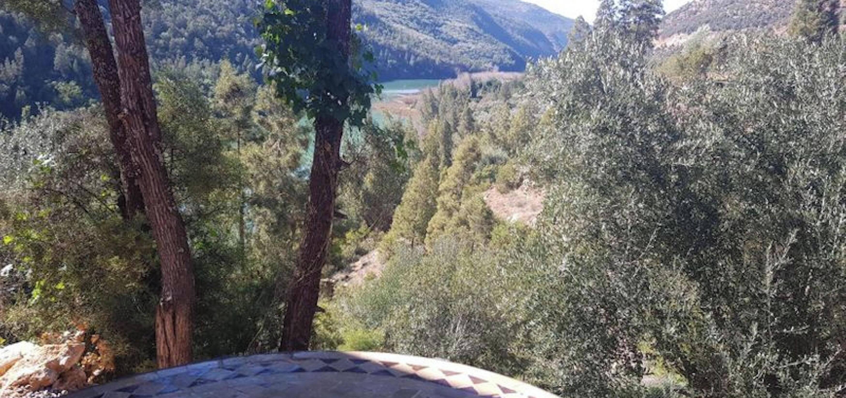 الإطلالة من المنشأة