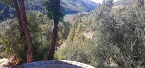 Rom, 1 soverom, balkong, hageutsikt | Utsikt fra overnattingsstedet