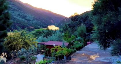 Room in Guest Room - Dar L'eau Vive - Buget Double Room With Stunning View