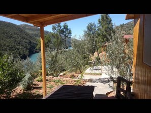 Vista desde la propiedad