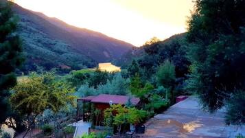 Room, 1 Bedroom, Terrace, Garden View | View from property