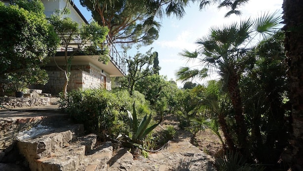 A garden with a stone pathway, various plants, and a building with a balcony. - Nut House Apartment Near the sea in a Villa With Garden (Altavilla Milicia)