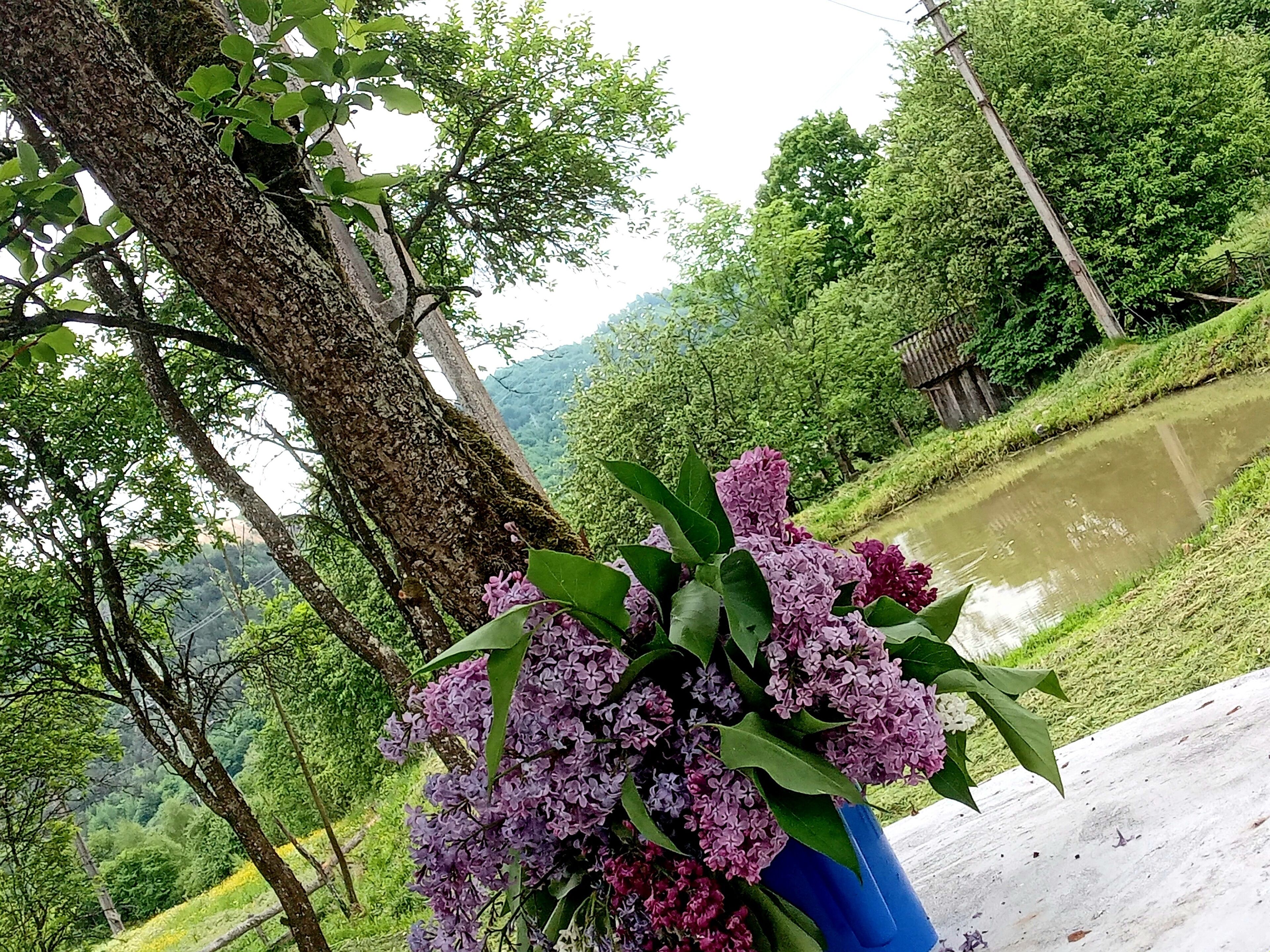 Huone, 1 makuuhuone, tupakointi sallittu, patio | Ulkoalueet