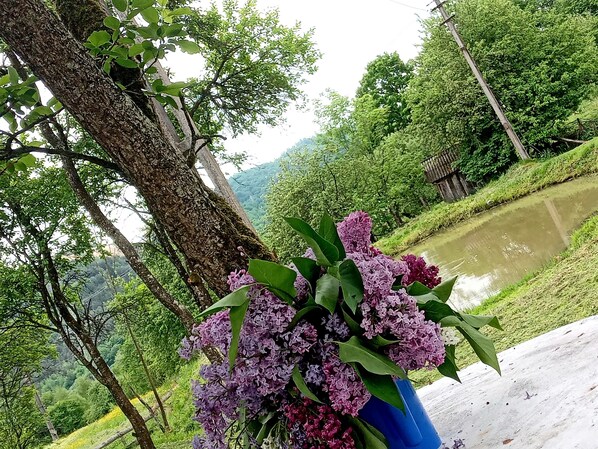 Room, 1 Bedroom, Smoking, Patio | Property grounds - Room in Guest Room - Cozy Holiday Room Near Forest (Rosia Montana)