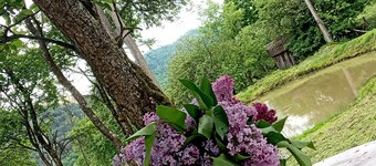 客房中的房間 - 靠近森林的舒適假日房間