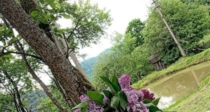 Room in Guest Room - Cozy Holiday Room Near Forest