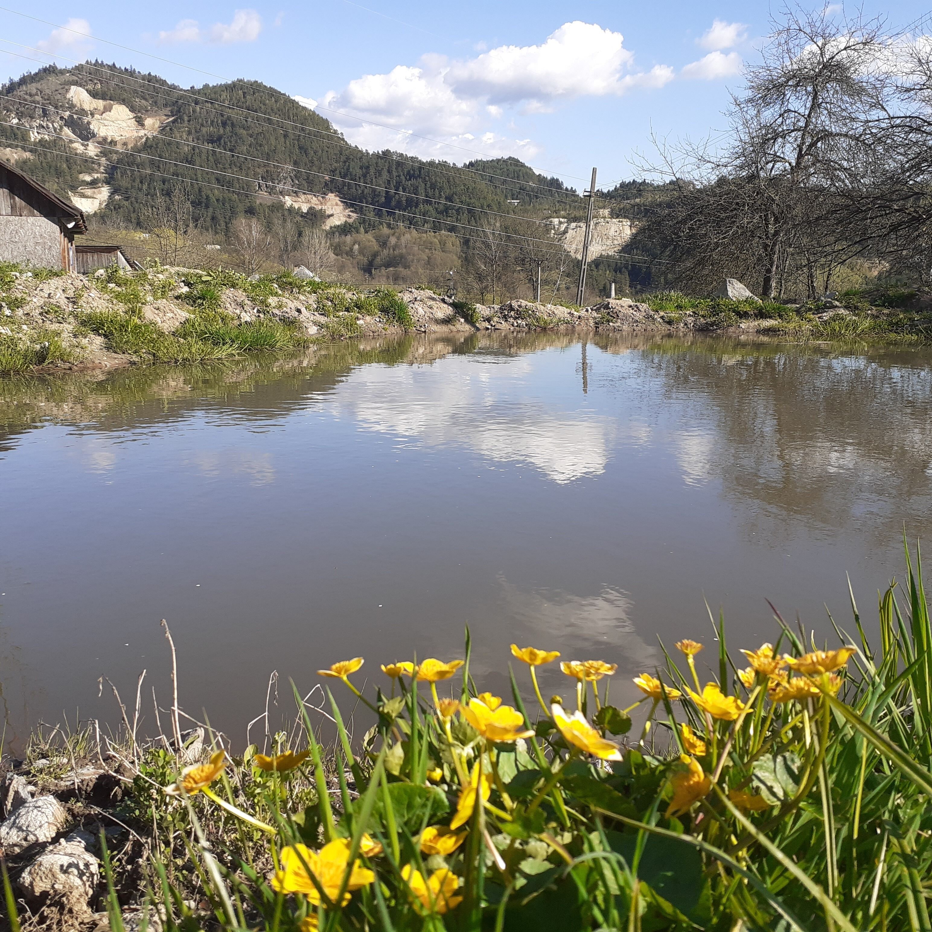 Chambre, 1 chambre, fumeur, patio | Enceinte de l’hébergement